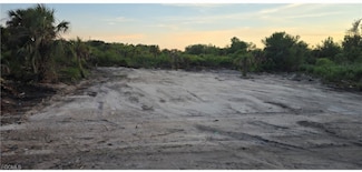 302 Pinehurst Ave, Lehigh Acres, FL 33974