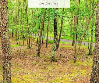 2012 Crystal Valley Dr, Romney, WV 26757