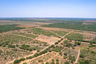0 County Road 4843, Dilley, TX 78017