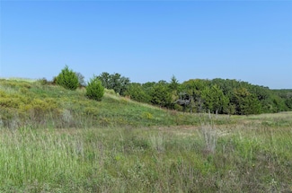 110 Pringle Ct, Alvord, TX 76225