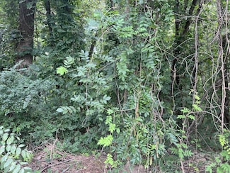 00 Maplewood Ln, New London, NC 28127