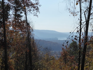 0 Laurel Ave Unit RTC2598433, South Pittsburg, TN 37380