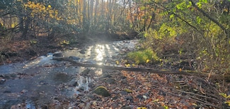 0 Salem Rd, Bruceton Mills, WV 26525