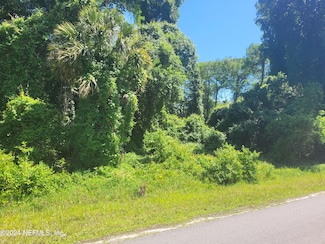 158 Whispering Pines Rd, Georgetown, FL 32139