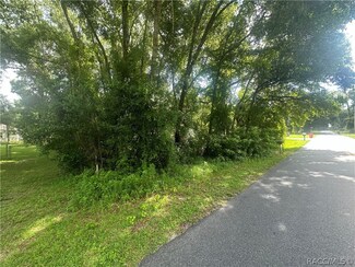 6585 E Waverly St, Inverness Highlands South, FL 34452
