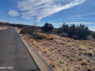1763 Prairie Rd, Snowflake, AZ 85937