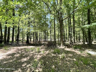 Lot 4 Chantilly Dr, Madison, MS 39110