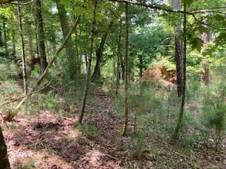 LT 3041 Parnell Dr, Ellijay, GA 30540