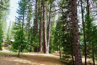 16 Sioux Trail, Graeagle, CA 96103