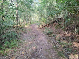 0 Kaleb Trail Unit 10396209, Mineral Bluff, GA 30559