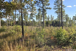 Lot 5 Christanna Hwy, Lawrenceville, VA 23868