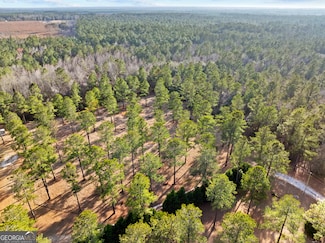 0 Twin Forks Rd Unit 10462786, Pembroke, GA 31321