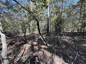 1406 Parkway Ln, Horseshoe Bend, AR 72512