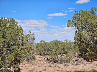 27 N9183 Unit 72, Concho, AZ 85924