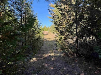 TBD Beatty Rd, Norwood Township, MI 49720