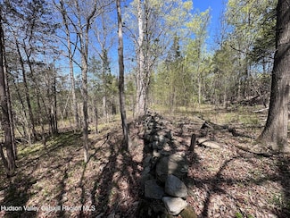 TBD Peoples Rd, Saugerties, NY 12477