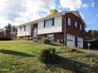 507 Spruce St, Mount Carmel, TN 37645