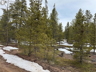 322 Fir Dr, Twin Lakes, CO 81251