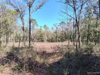 3491 E Stage Coach Trail, Inverness, FL 34452