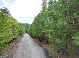 52 Skyline Dr, Braswell, GA 30153