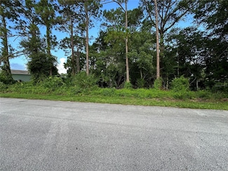 1338 Vater Ave NW, Palm Bay, FL 32907
