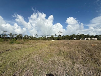 29460 Polk Dr, Punta Gorda, FL 33982