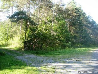 1235 Main Rd, Locke, NY 13092