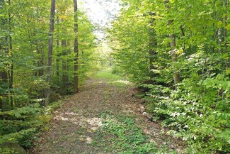 71 Mountainside Dr Unit 19, Newbury, NH 03255