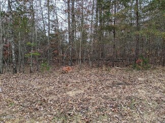 0000 Shelby Way, Clarkrange, TN 38553