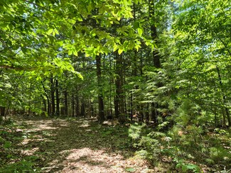 Lot 36A Foster Ln, Belgrade, ME 04918