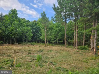 Lot 4 Bacons Rd, Laurel, DE 19956