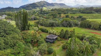 6052 Hauiki Rd Unit 1, Kapaa, HI 96746
