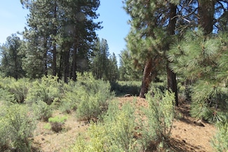 0 Castle Dr, Chiloquin, OR 97624