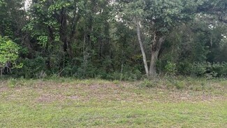 979 W Pearson St, Hernando, FL 34442