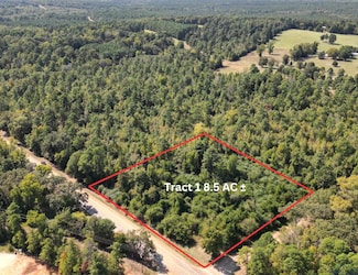 TBD Texas 43, Bivins, TX 75555