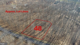 48 Fern Loop Dr, Sang Run, MD 21541