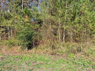 0 Nelsonia Rd Unit 29 59617, Nelsonia, VA 23414
