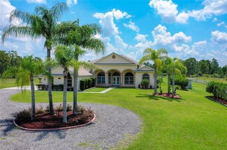 20402 Reynolds Pkwy, Orlando, FL 32833