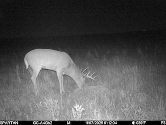 Tbd Road 145, Lodgepole, NE 69149