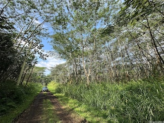 00 Pikake Rd, Pahoa, HI 96778