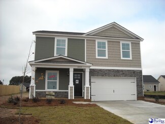 3049 Red Hawk Rd, Effingham, SC 29541
