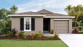 9034 Water Chestnut Dr, Thonotosassa, FL 33637