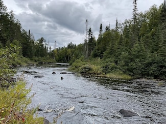 163 Pancore Lake Rd, Tofte, MN 55615