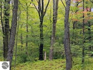 10.01 2 1 2 Rd, Wexford Township, MI 49620