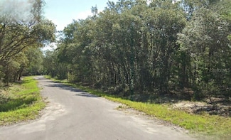 0 Fisher Way Dr Unit MFRO6264060, Ocklawaha, FL 32179