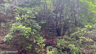 9 Sky Hawk Trail, Scotrun, PA 18355