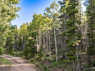 Lot 3231 Zipf Ln, Ft. Garland, CO 81133