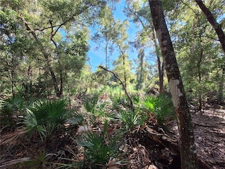 TBD 00 NW 47th Ct, Chiefland, FL 32626