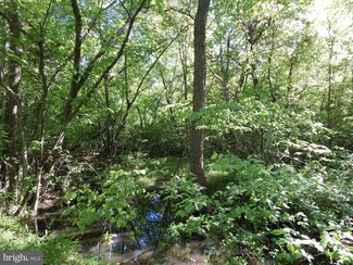 4 Wilhoite Ln, Rapidan, VA 22733