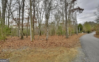 LT 57 Riverwalk On Toccoa Unit 37, Mineral Bluff, GA 30559